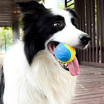 1 Pcs Interactive Dog Toy - Teething Chew Ball