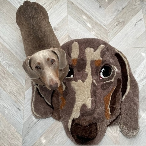 Pet Blanket