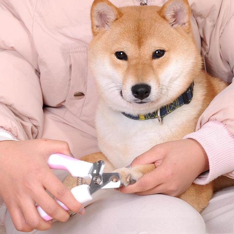 LED Light Pet Nail Clipper