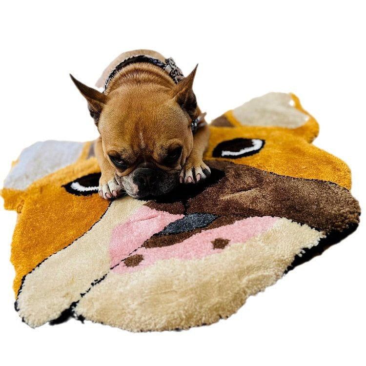Pet Blanket