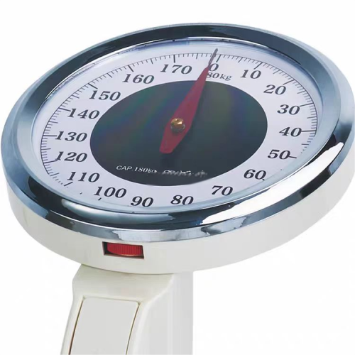 Height and Weight Scale