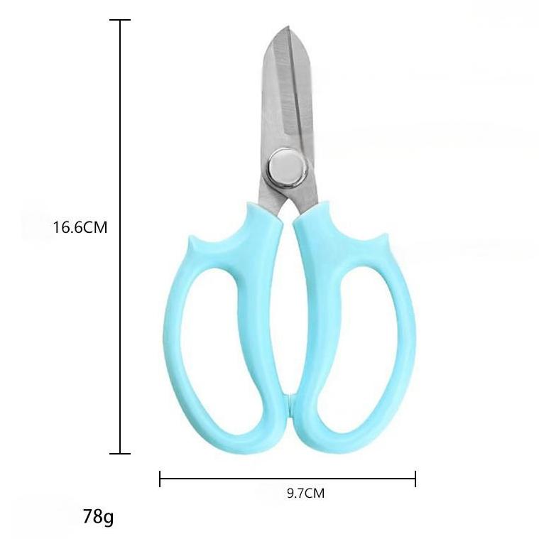 Stainless Steel Pruning Shears