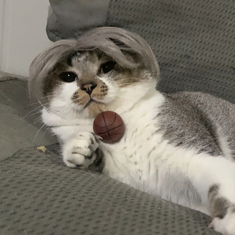Pet Wig