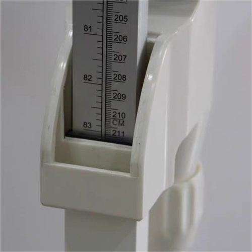 Height and Weight Scale