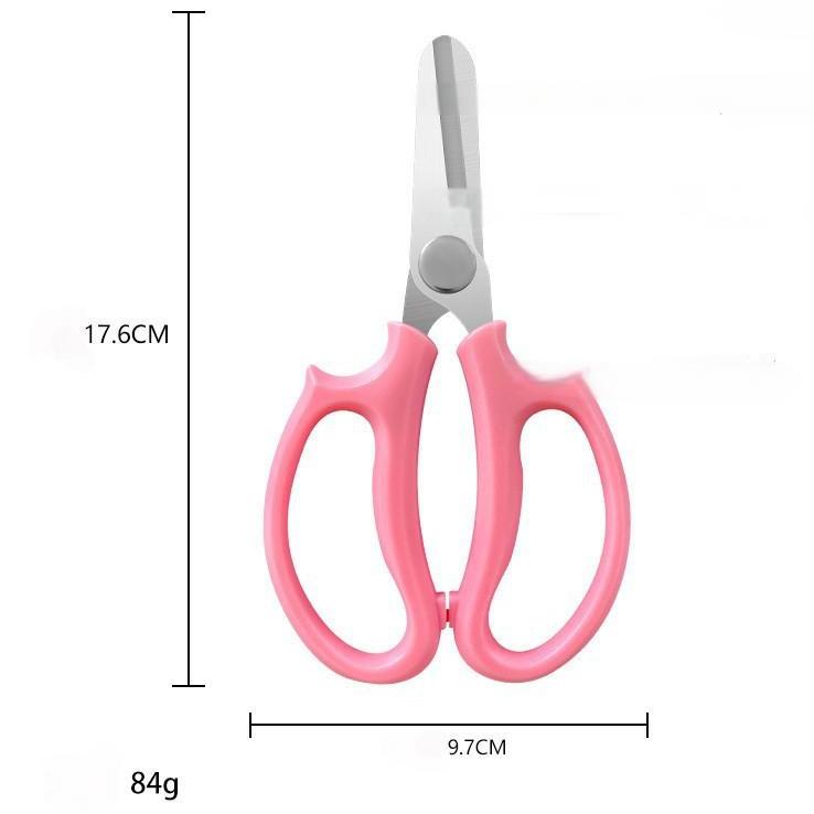 Stainless Steel Pruning Shears