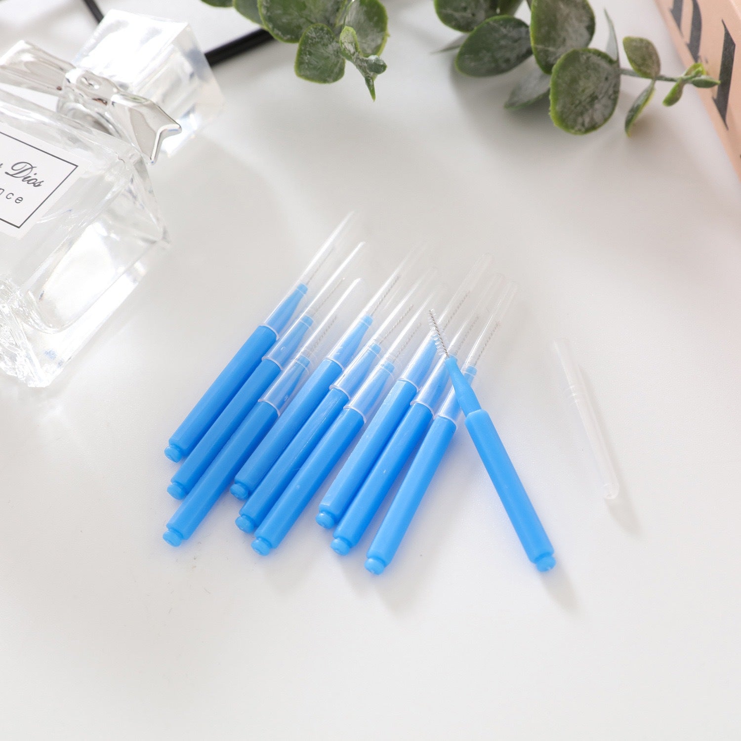 Interdental Brushes