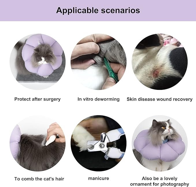1 Pcs Cat Cone Collar