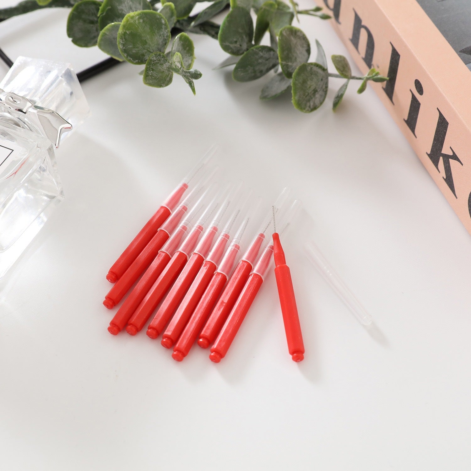 Interdental Brushes