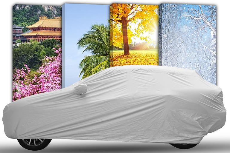 Car Cover All Weather