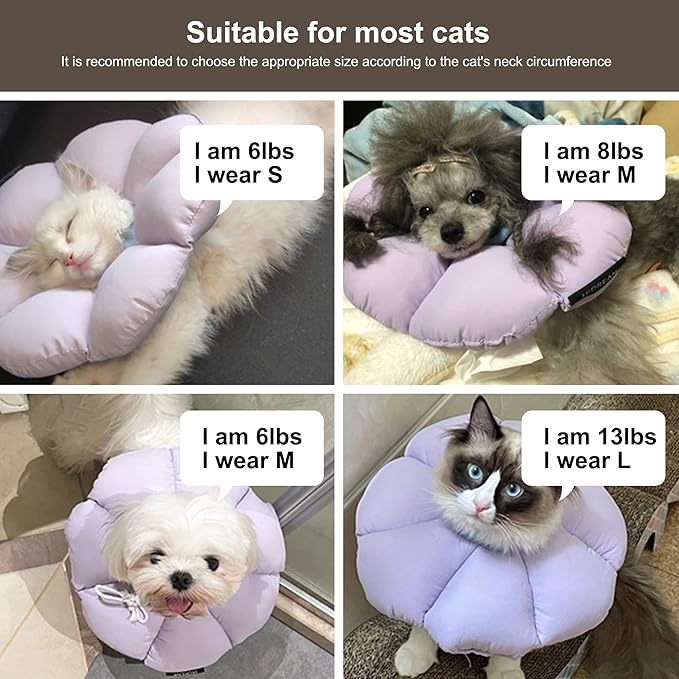 1 Pcs Cat Cone Collar